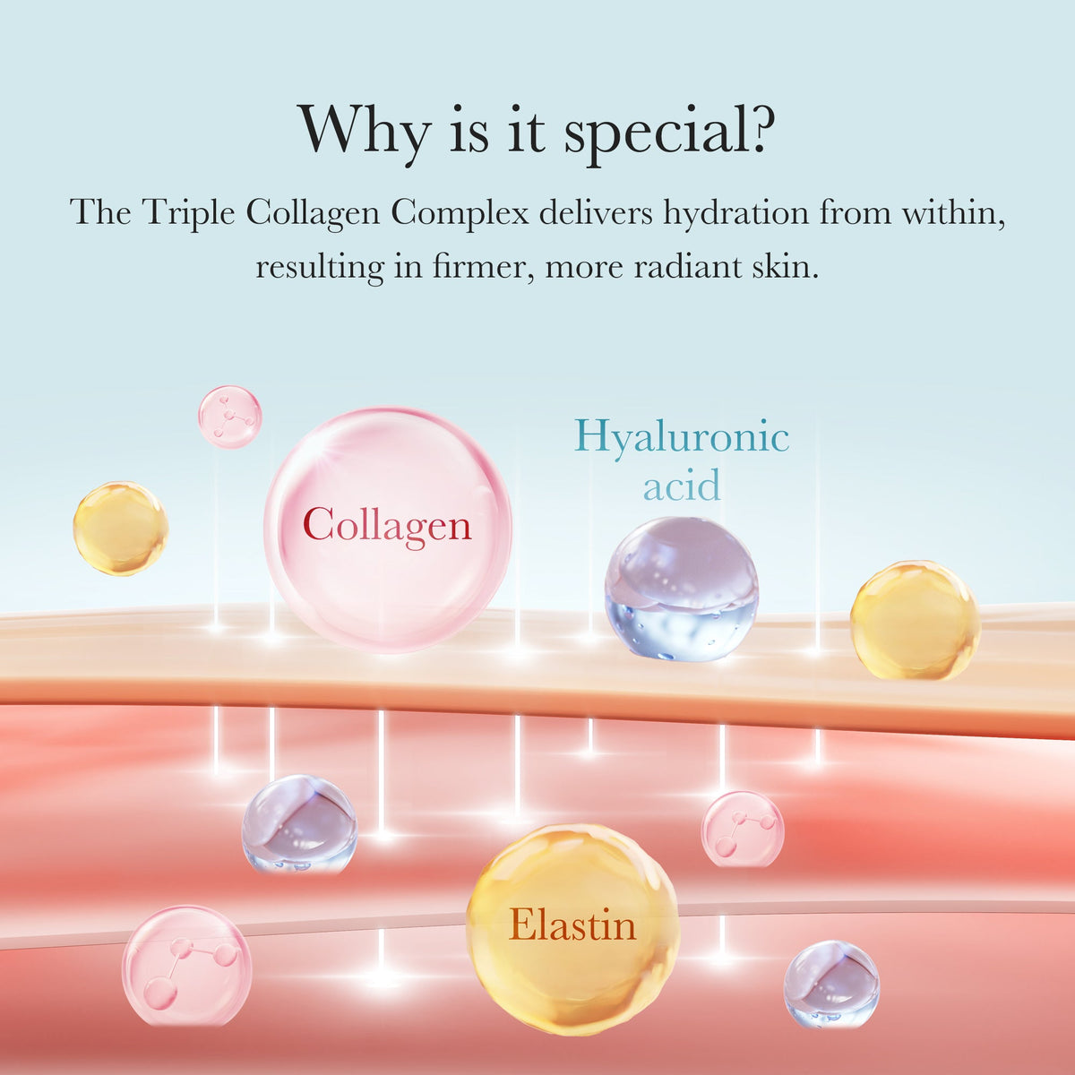 triple-collagen-cream-t0 04_8e4e330d-7d9c-4ff0-93ec-ea541093220c.jpg