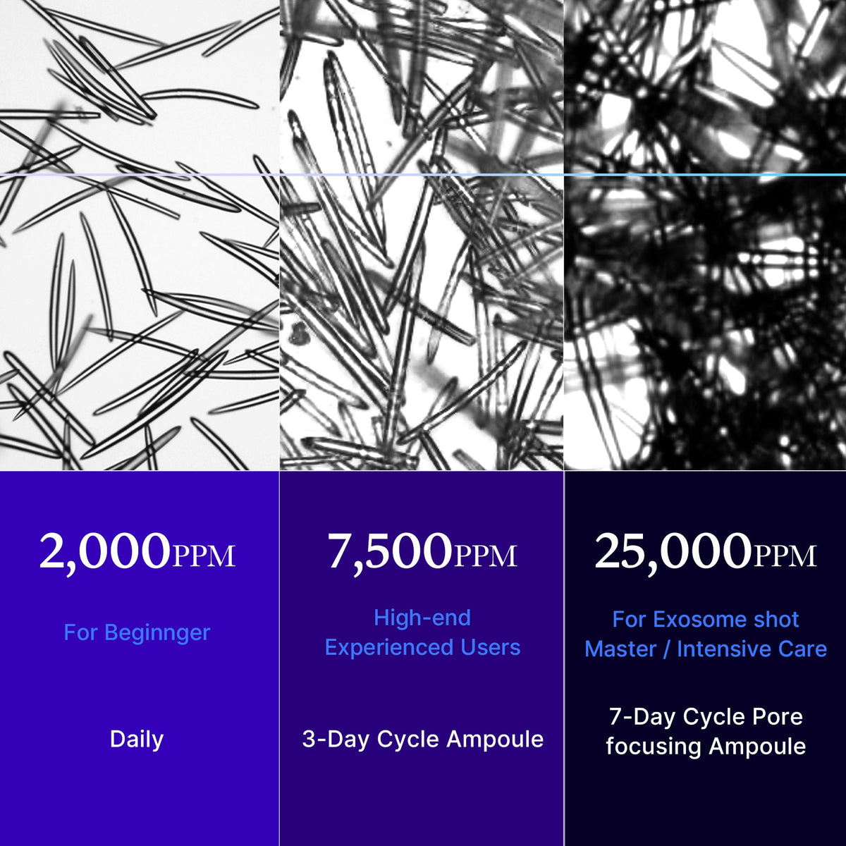 zero-exosome-shot-o2 25000_05.jpg